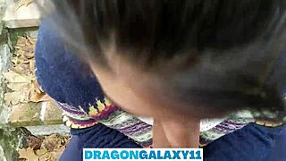 Outdoor Blowjob In The Park