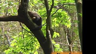 Putarias No Rio De Janeiro Com Amigas Gostosas