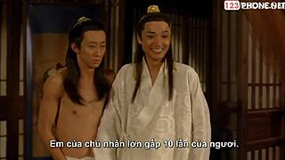 Vietnamese subbed classic Chinese sex flick rocks