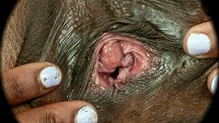 Incredible! Sweet Nest HD Vagina Close-Up with Hairy Pussy Action