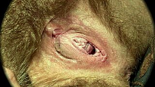 Incredible! Sweet Nest HD Vagina Close-Up with Hairy Pussy Action