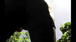 Ebony Girlfriend Says, Fuck My Pussy Outdoors Now