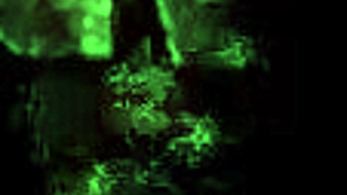 Vintage Erotic Illustration, Can You Believe This Classic Style?!