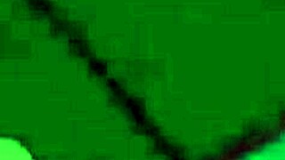 ichika hoshino and ena shinonome in wild animated action