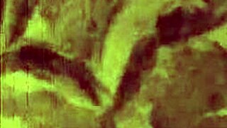 Ever seen vintage erotic drawings this wild and steamy?