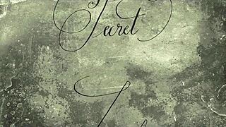 Victorian gentleman shares erotic sea voyage confessions