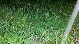 We ducked into an abandoned ranch shed to escape the rain and indulged in passionate lesbian sex with dirty talk and intense orgasms.