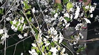 I licked stranger's pussy to orgasm at home after park