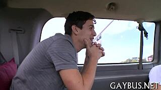 Exploring homosexual bear lifestyles in a casual setting