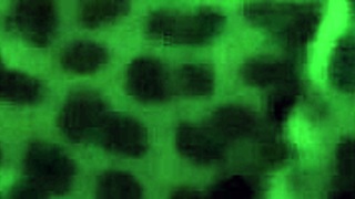 Fucking my big booty ex