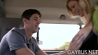 Exploring homosexual bear lifestyles in a casual setting