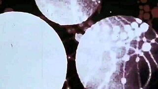 Vintage erotic drawings bring the alphabet to life with steamy passion. So raw!