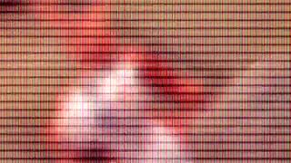 Crazy Furry HMV with Wild Anime Action and Monster Characters