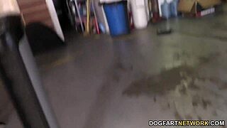 Summer Carter fucked by three black guys