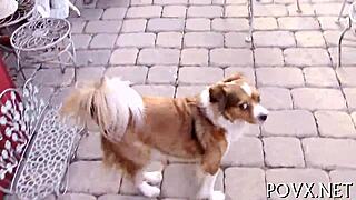 Jennifer white in teen stream with doggystyle and blowjob