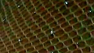 Provoquei O Uber E Deixei Ele Brincar Com Minha Bucetinha