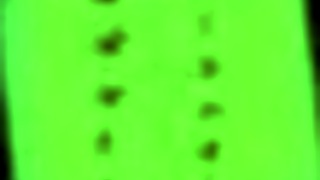 pine falls 14 explores the anime hentai game world