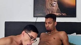 he called me to study but got my black cock in his ass, oops