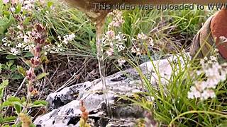 Sikanie na zewnątrz w ryzykownym lesie - kompilacja toalet