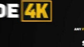 I'm Good at Sucking Cock, Not Apologies!