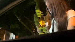 A Stranger Approached In The Car And Offered To Give Me A Blowjob In Exchange For Money And I Agreed And Swallowed It All - Blowjob In The Car