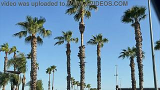 Ride with us for a wild model adventure