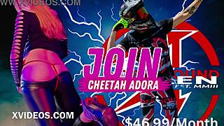 Ride with us for a wild model adventure