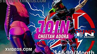 Ride with us for a wild model adventure