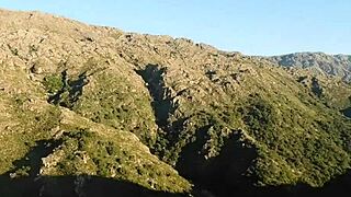 friend shows off corner whore getting anal doggystyle