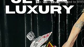 Ride with us for a wild model adventure