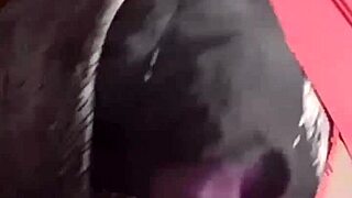 He Says, 'Start with My Dick in Your Mouth' Before Fucking Me Raw and Hard