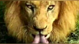 dude, best latina suckin’ and rimmin’ ever, ya gotta see this!!