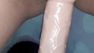 vicio8586 update 4 couple bets 2024