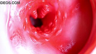 A Big Red Cock Ready to Deliver Anytime