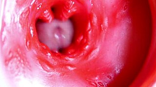 큰 빨간 자지 언제든 준비돼