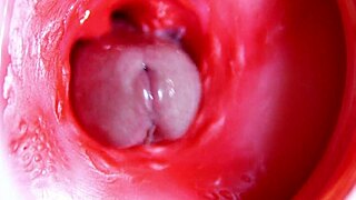 A Big Red Cock Ready to Deliver Anytime