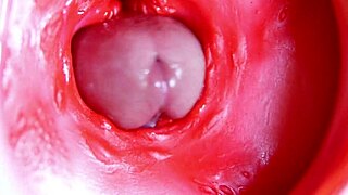 큰 빨간 자지 언제든 준비돼