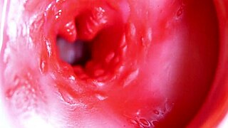 A Big Red Cock Ready to Deliver Anytime