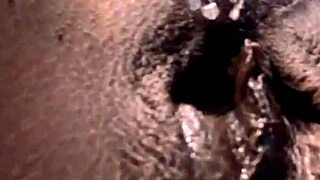 Does Gaia Want To Sit On Your Face With Hairy Pussy And Spit?