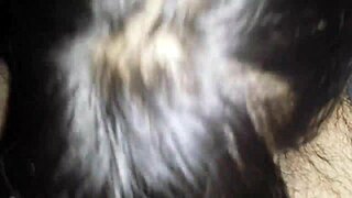 blowjob in the car with serbian hooker