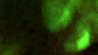 Dripping Wet Girlfriend Masturbating 1 showcases a homemade scene