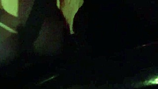 Artemisia Love Flashes Tits In Car