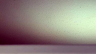 sounds from my window