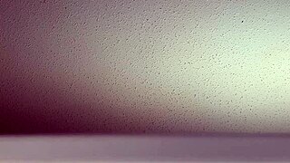 sounds from my window