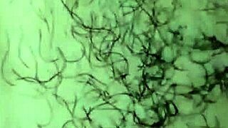 A brazilian amateur's hairy pussy receives a massive cumshot