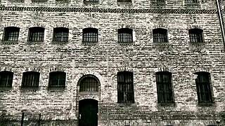 Dominatrix Mistress April Washes Unworthy Slave Brain in Harsh Session