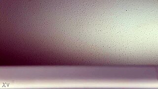 sounds from my window