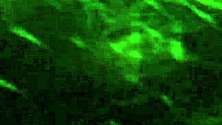 kingdinglong scores a wild bbc gumjob from mature white cougar