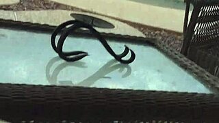 Can The Lifeguard Handle This Slut's Humiliation At The Beach?