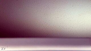 sounds from my window